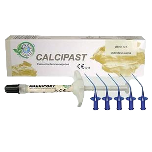 Cerkamed Calcipast Kalsiyum Hidroksit Endodontik Kanal Patı 2.1g Şırınga