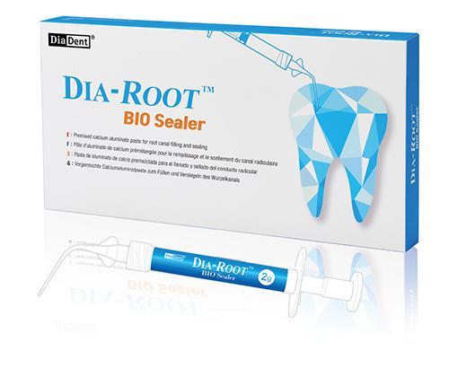Diadent DiaRoot Bio Sealer Bioseramik Kanal Dolgu Patı - 2g Şırınga Seti