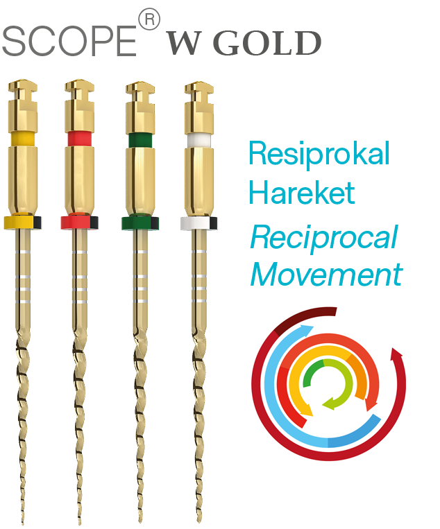 Scope W Gold Resiproc Kanal Eğeleri (W1-W2-W3-W4) - 25 mm ve 31 mm Uzunluk Seçenekleri