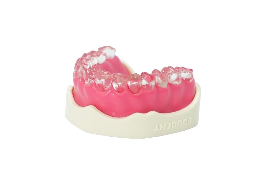 Edudent EndoPrep® Tek Çene Endodontik Diş Seti