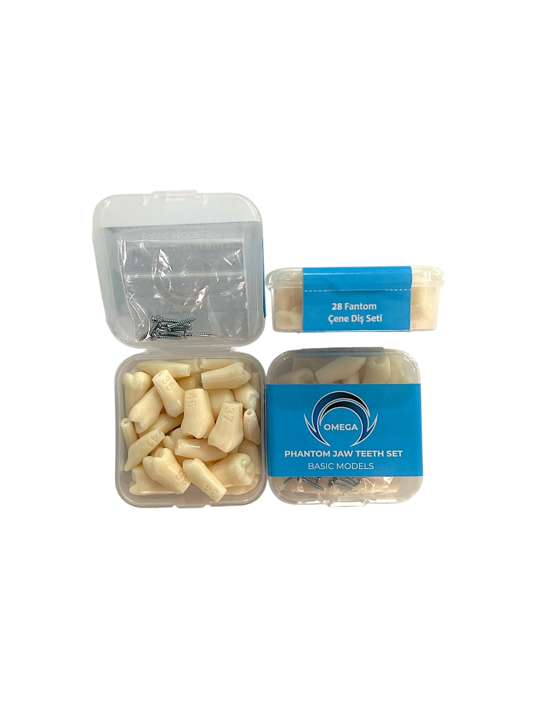 Omega Etli Çene Yedek Diş Seti 28'li Fantom Diş ve Vida Seti