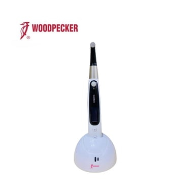 Woodpecker Endomatic Endomotor