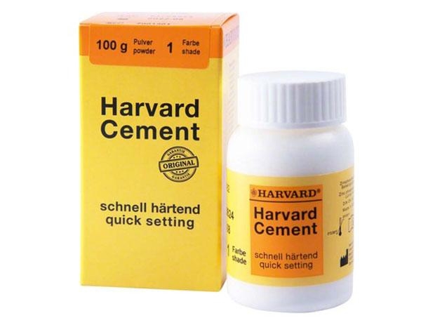 HARVARD Polikarboksilat Siman 100 gr toz